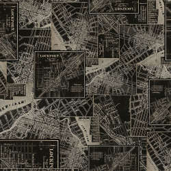 Free Spirit - Palette Charcoal - PWTH313.CHARCOAL Charcoal Map-Version B