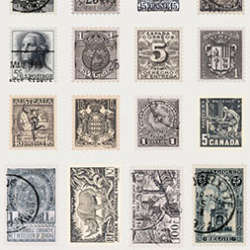 Free Spirit - Palette Charcoal - PWTH311.CHARCOAL Charcoal Stamps-Version B