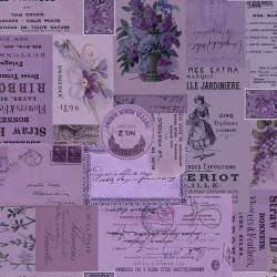 Free Spirit - Palette Purple - PWTH305.PURPLE Purple Ephemera-Version A