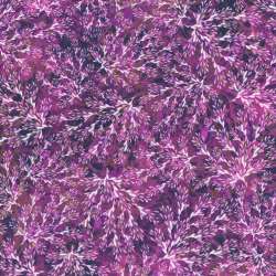 Robert Kaufman - Calixta - AQSD-22772-20