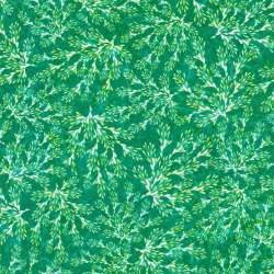 Robert Kaufman - Calixta - AQSD-22772-40