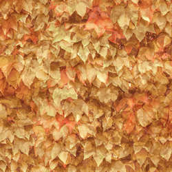 Northcott - Autumn Breeze - DP28059-37