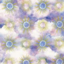 Robert Kaufman - Hill Shine - RRHDM-23242-21