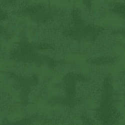 Riley Blake Designs - Shabby - C605-MTNGREEN