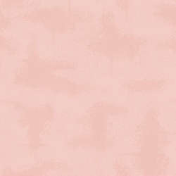 Riley Blake Designs - Shabby - C605-TUTU