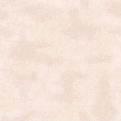 Riley Blake Designs - Shabby - C605-LATTE