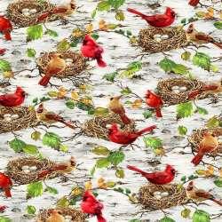 Timeless Treasures - Secret Hollow - DONA-CD4269-BIRCH