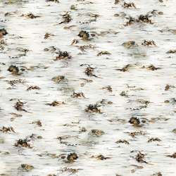 Timeless Treasures - Secret Hollow - DONA-CD3199-BIRCH