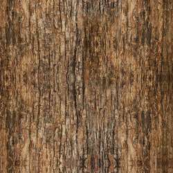 Timeless Treasures - Secret Hollow - NATURE-CD3832-BROWN