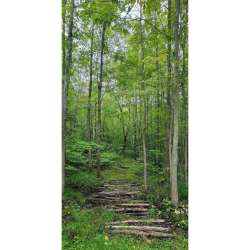 Timeless Treasures - Secret Hollow - PANELJNP-CD4080-FOREST_24x44 on 44 Canvas.png