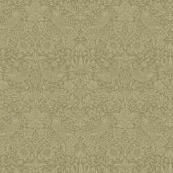 Free Spirit - The Trellis Palette - PWWM153.OLIVEFRUIT