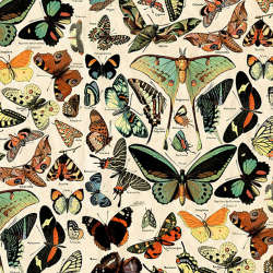 Free Spirit - Palette Canvas Cloth - CCTH027.TEAL