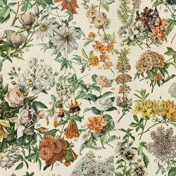 Free Spirit - Palette Canvas Cloth - CCTH022.ORANGE