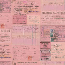 Free Spirit - Palette Canvas Cloth - CCTH020.PINK