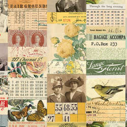 Free Spirit - Palette Canvas Cloth - CCTH017.MULTI