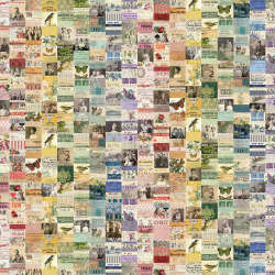 Free Spirit - Palette Canvas Cloth - CCTH017.MULTI-Full Width