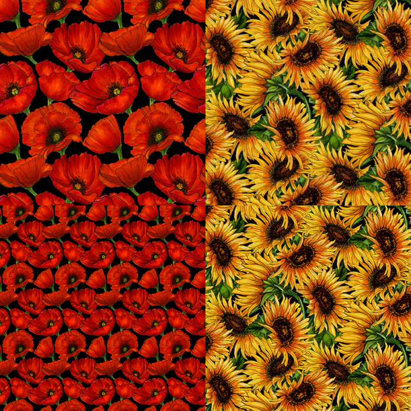 Blank Quilting Corporation - 