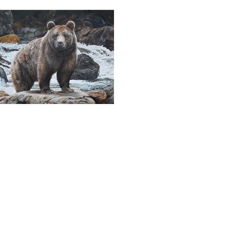 Riley Blake Designs - 