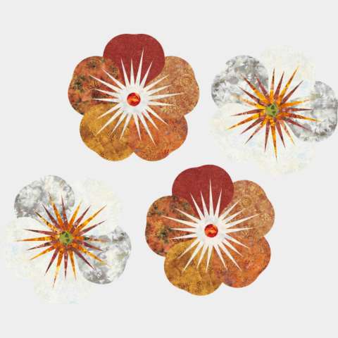 Impatiens in Wildflowers and Petals