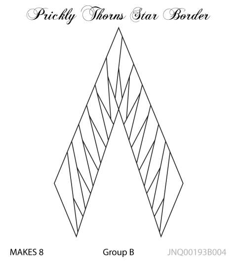 Prickly Thorns Star Border (Alt 1)