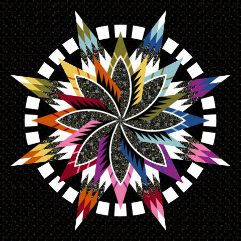 Macaw in Kitty Litter by Dear Stella