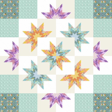 The Goodnight Star in Curious Garden by Dear Stella