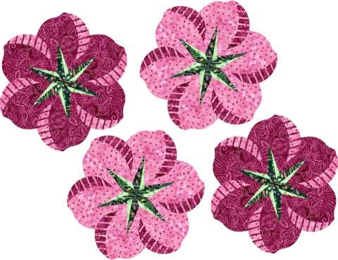 African Violets Semangka Watermelon Collection Kit