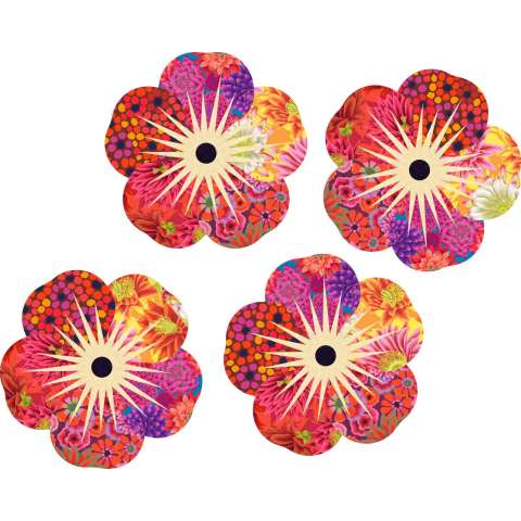 Impatiens Kaffe Collective Update