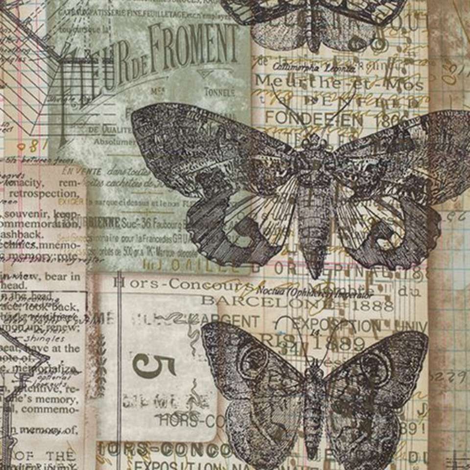 Free Spirit - Foundations - PWTH001.NEUTR