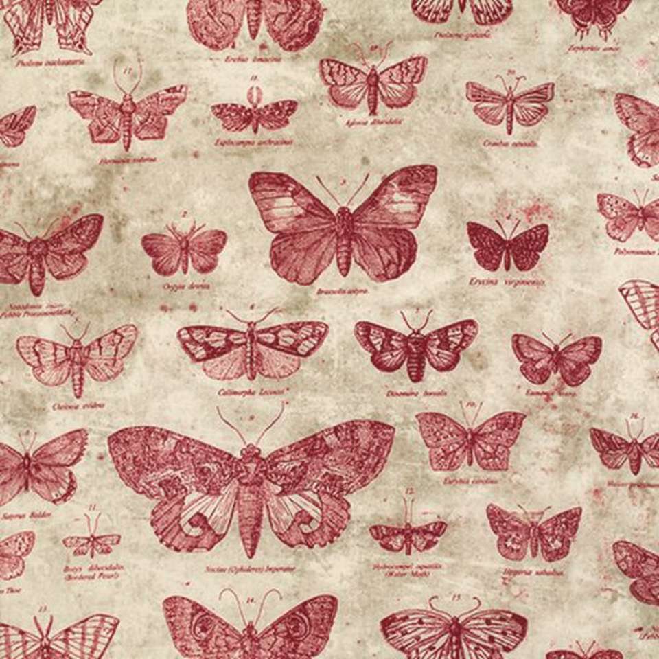 Free Spirit - Foundations - PWTH004.REDXX