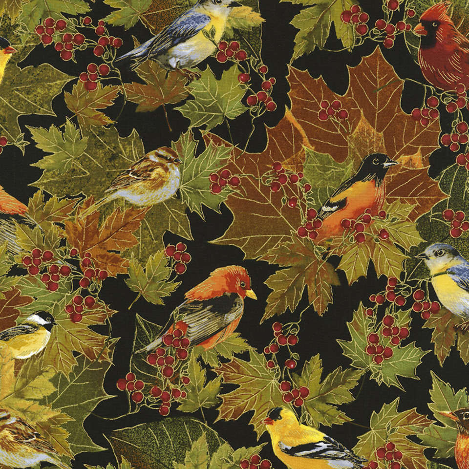 Timeless Treasures - Bountiful - Harvest-CM6143-Black