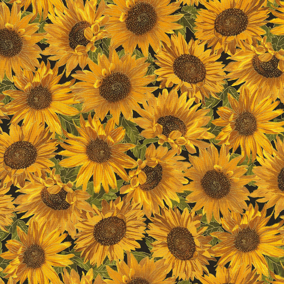 Timeless Treasures - Bountiful - Harvest-CM6138-Sunflower