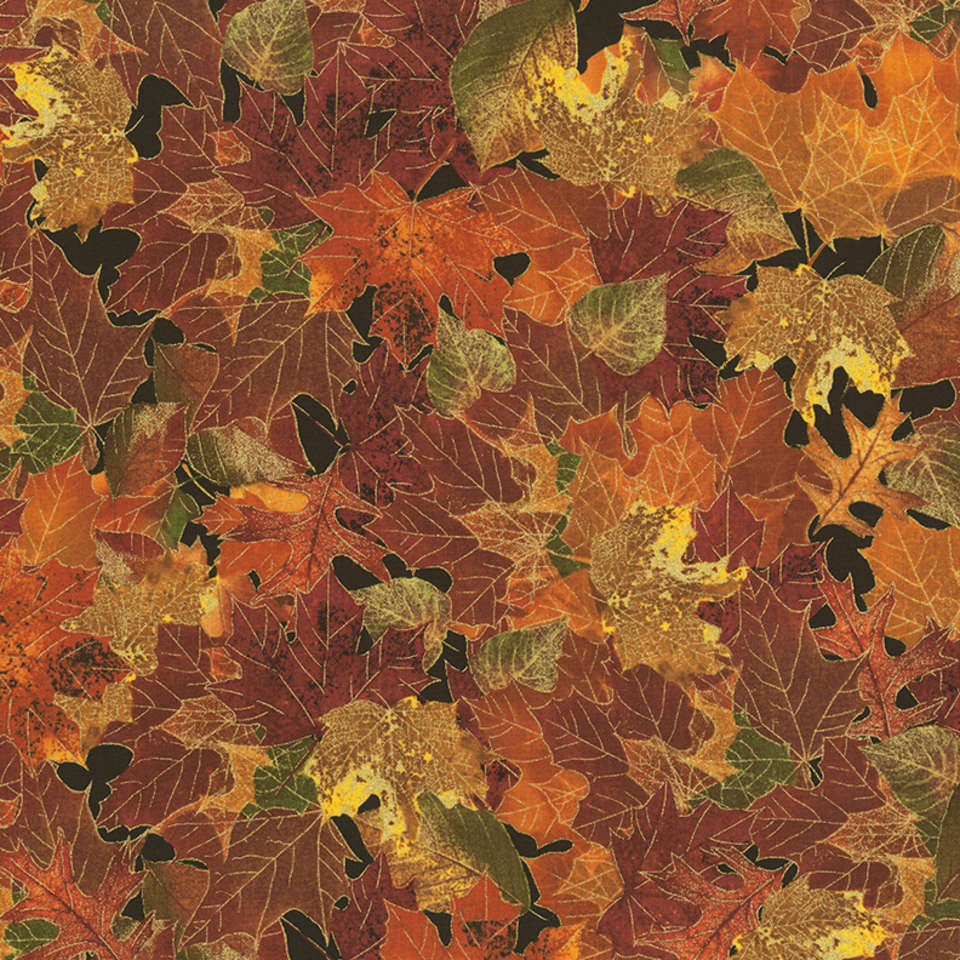 Timeless Treasures - Bountiful - Harvest-CM6137-Fall