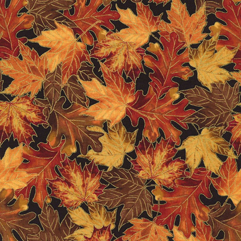 Timeless Treasures - Bountiful - Harvest-CM2092-Black