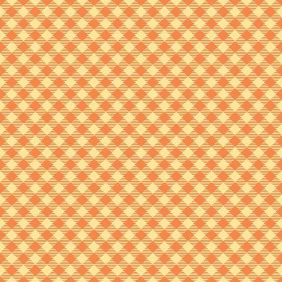 Riley Blake Designs - Bee Basics - C6400-ORANGE_Basics_Gingham