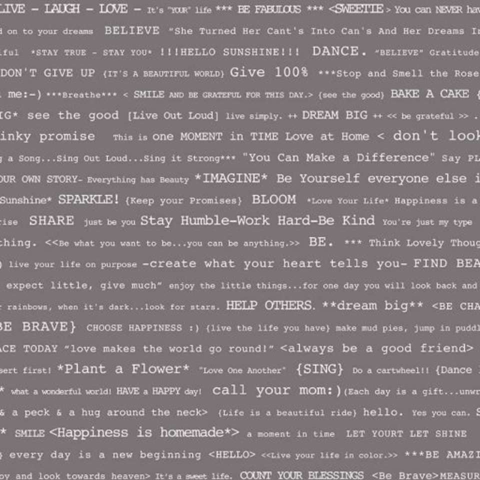 Riley Blake Designs - Bee Basics - C6402-GRAY_Basics_HappyText