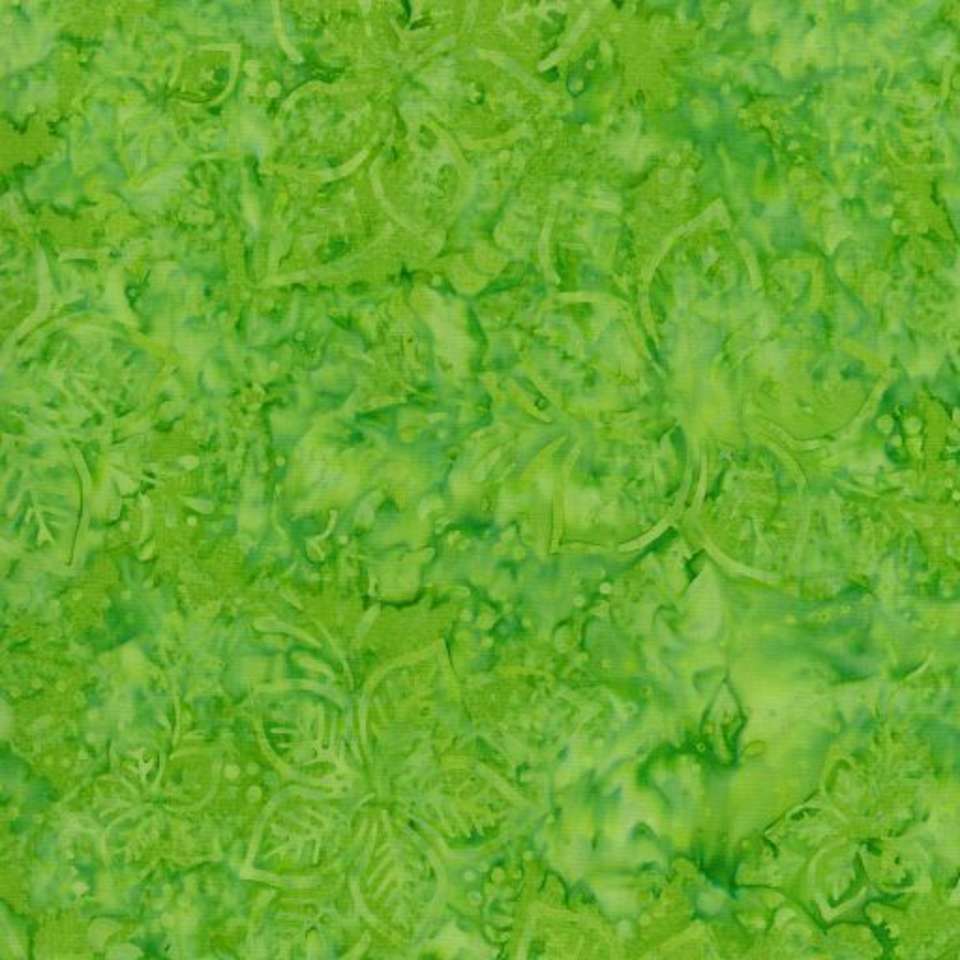 Timeless Treasures - Tonga Mandarin Grove - Tonga-B6874-Grass