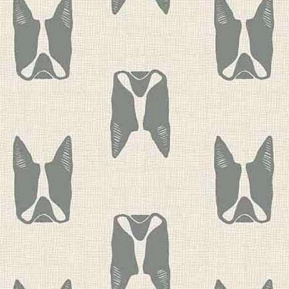 Andover Fabrics - Cats and Dogs - A-8965-C