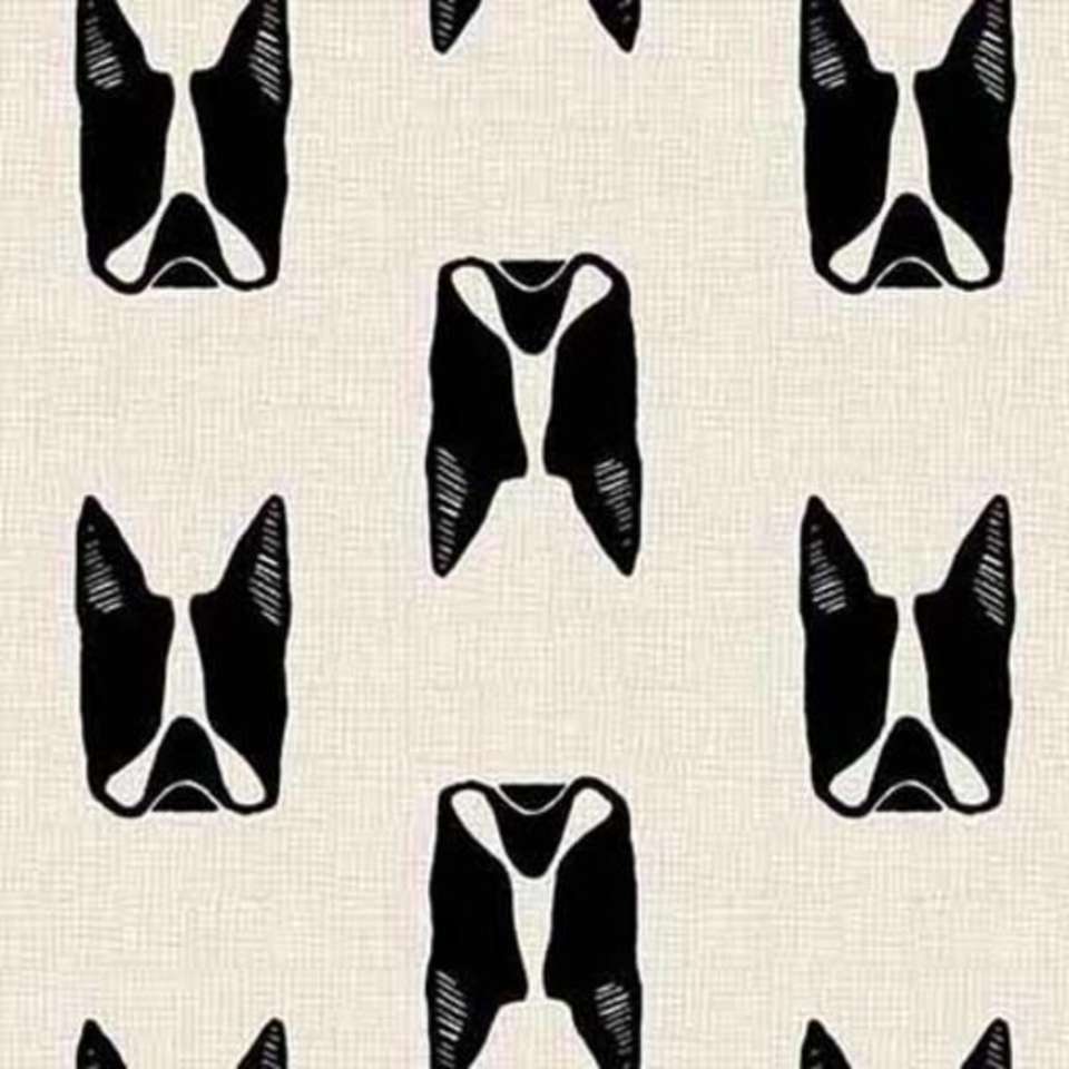 Andover Fabrics - Cats and Dogs - A-8965-K