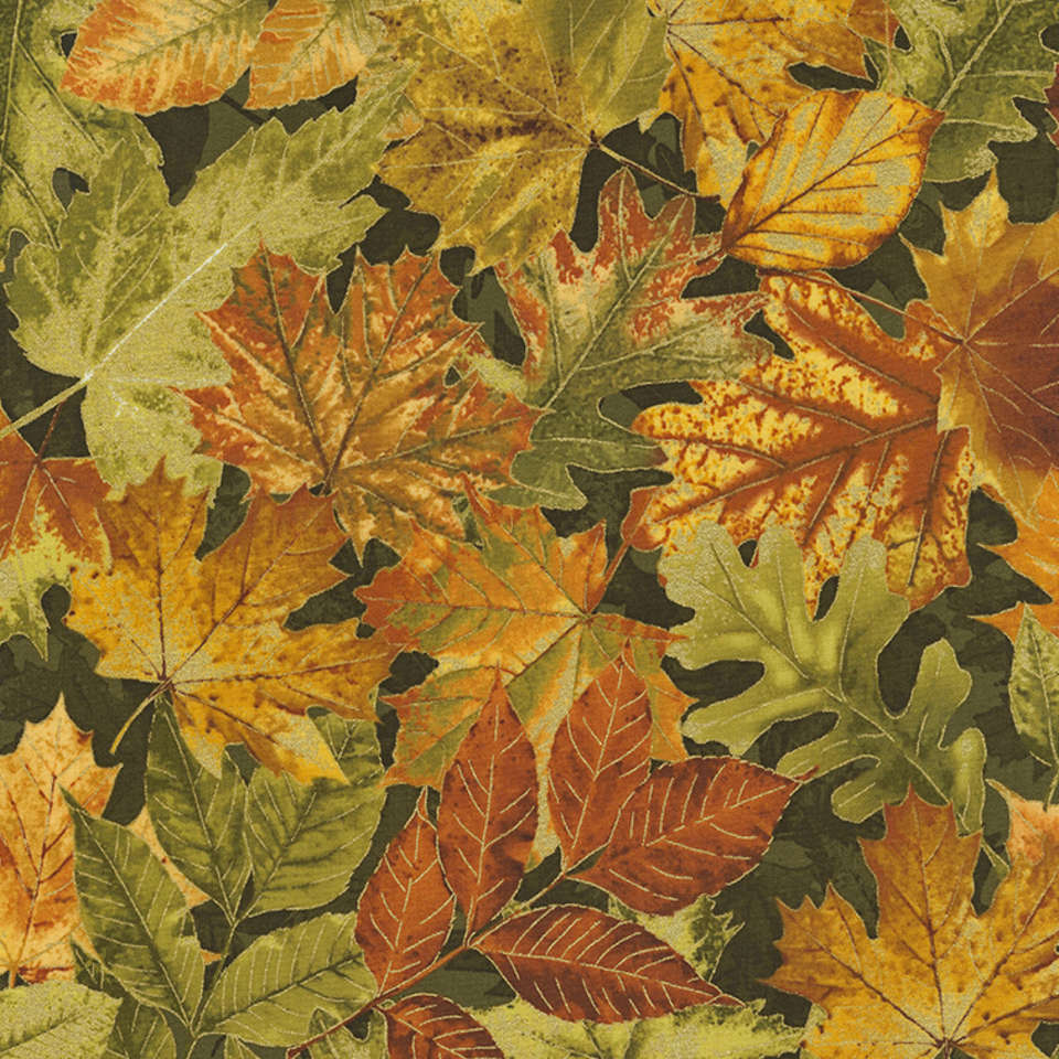 Timeless Treasures - Autumn Palatte - Nature-CM7155-Olive