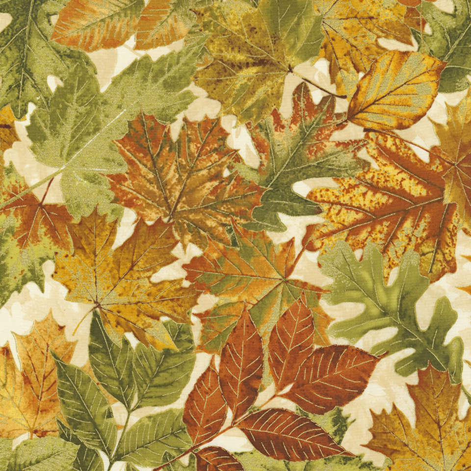 Timeless Treasures - Autumn Palatte - Nature-CM7155-Cream