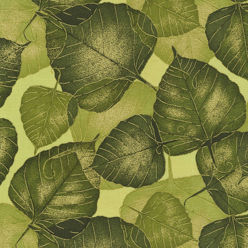 Timeless Treasures - Autumn Palatte - Flora-CM1053-Olive