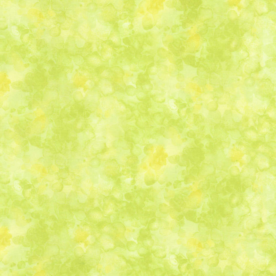 Timeless Treasures - Nightlife - Kim-C6100-Citrus