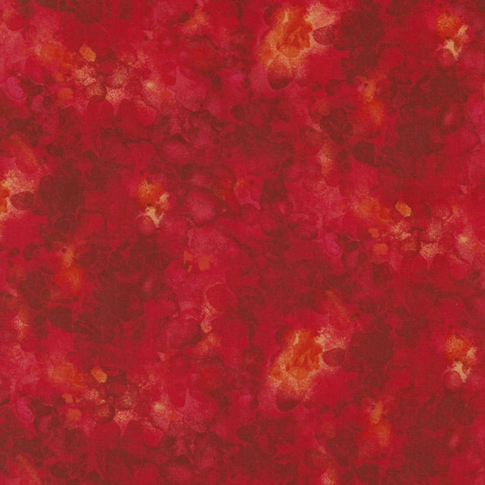 Timeless Treasures - Nightlife - Kim-C6100-Maraschino