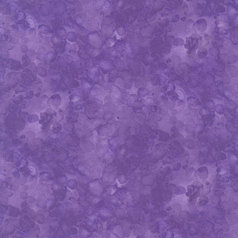 Timeless Treasures - Nightlife - Kim-C6100-Iris