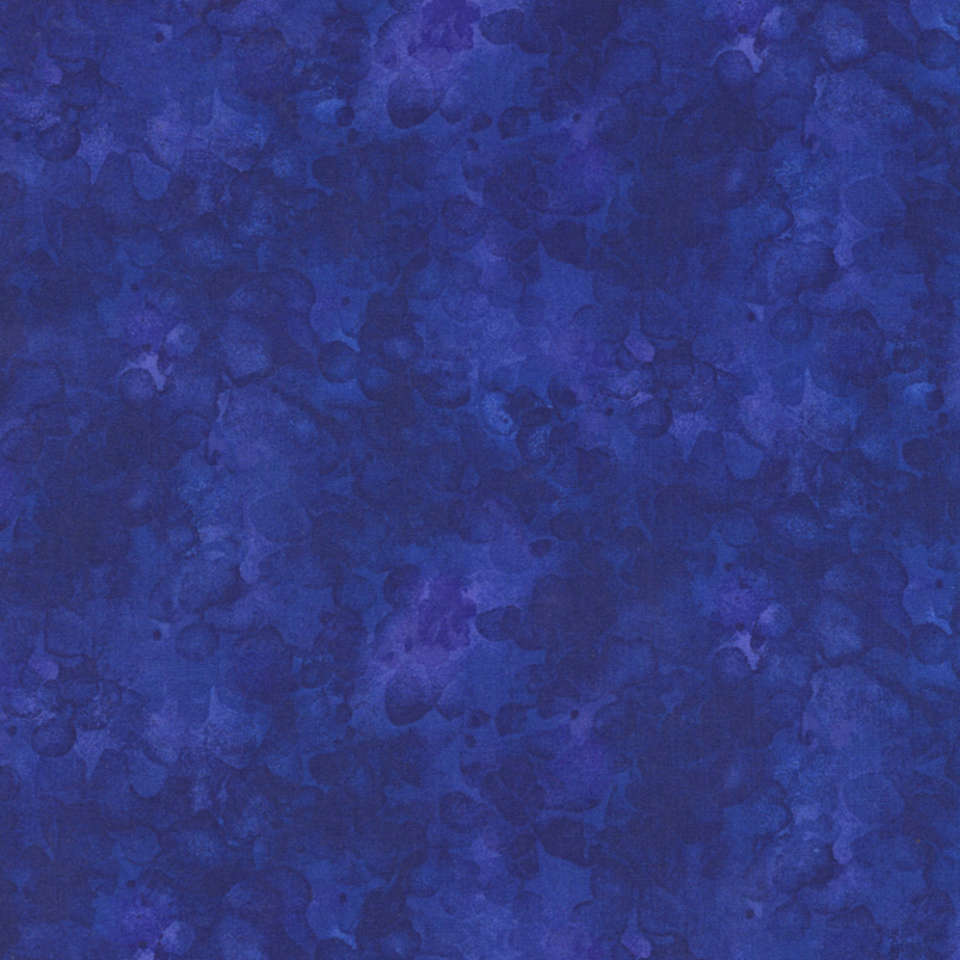 Timeless Treasures - Nightlife - Kim-C6100-Royal