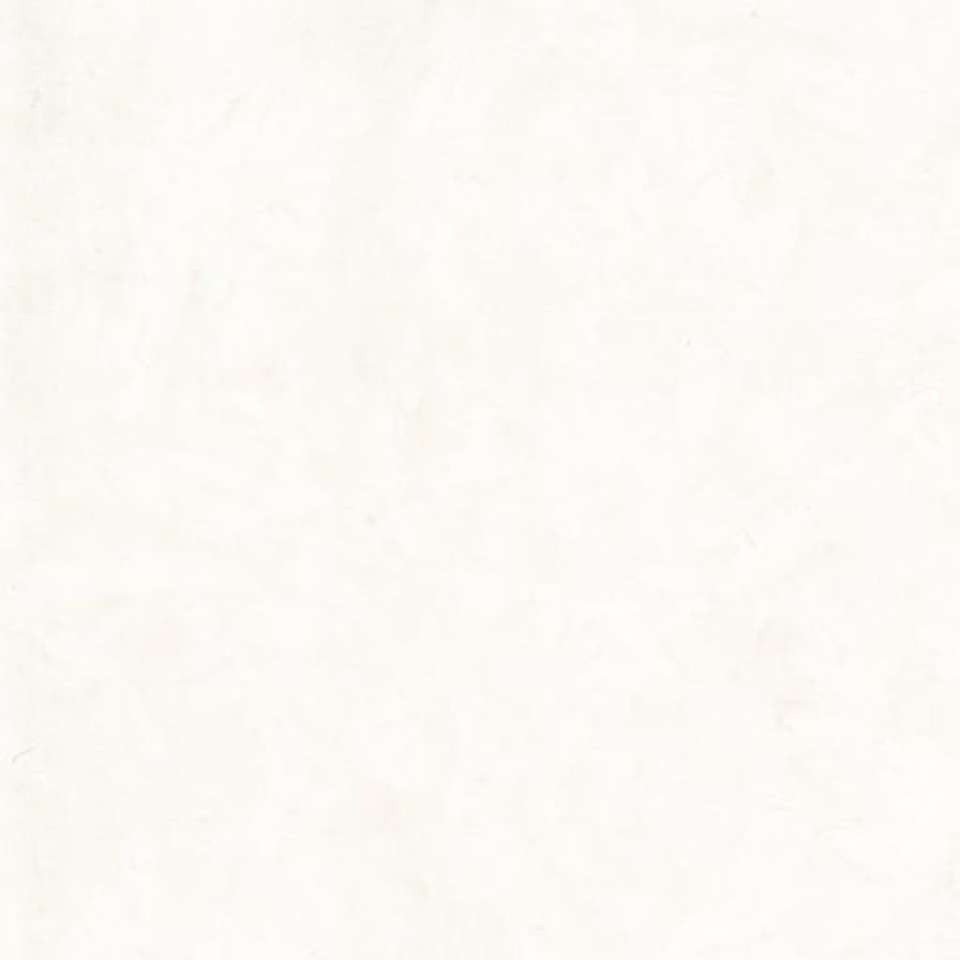 Timeless Treasures - Tonga Wallflowers - Tonga-B7900-Tissue