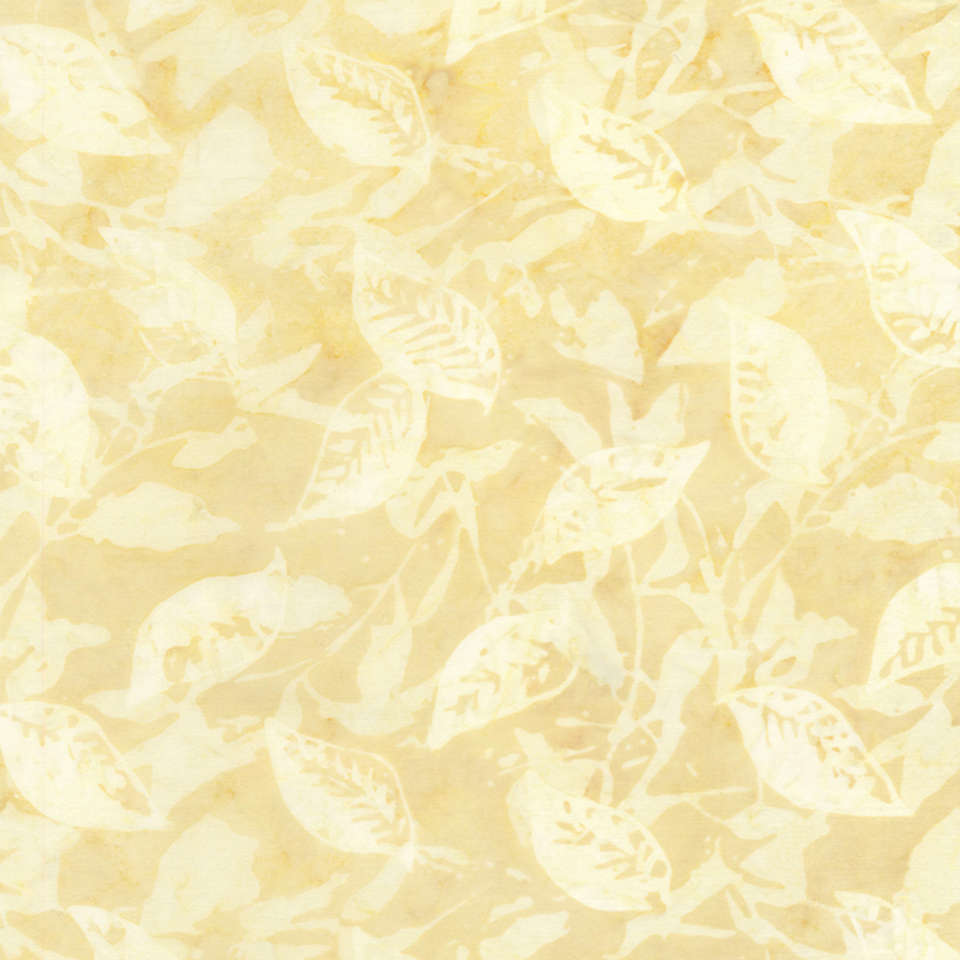 Timeless Treasures - Tonga Wallflowers | Manufacturer Discontinued - Tonga-B4021-Cream