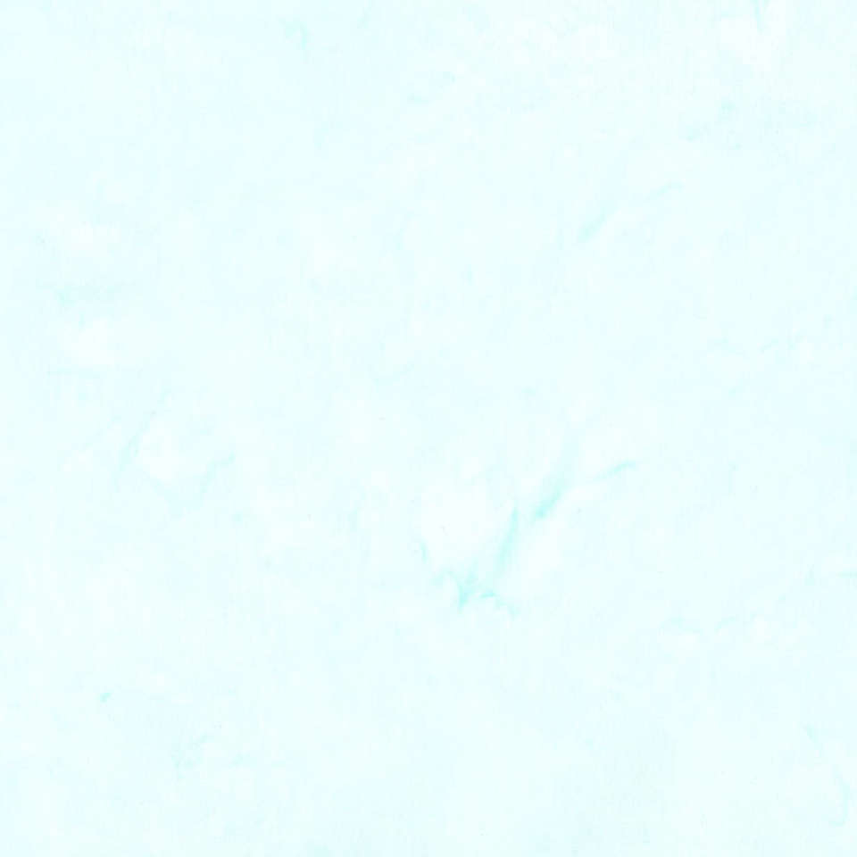 Timeless Treasures - Tonga Wallflowers - Tonga-B7900-Whisper