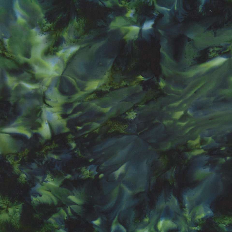 Hoffman California Fabrics - 2019 Spring Bali Batiks - 1384-216-Black Jade